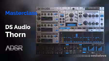 ADSR Sounds The Complete Guide To DS AUDIO THORN [TUTORiAL]