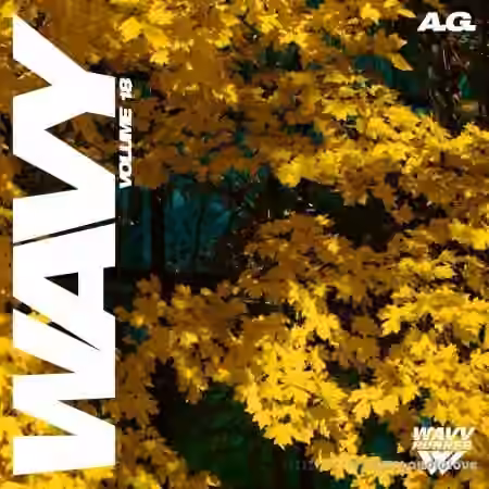 A.G. Wavy Sample Pack Vol.18 [WAV]