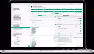 Audiofile Engineering Myriad v4.2.1 [MacOSX]