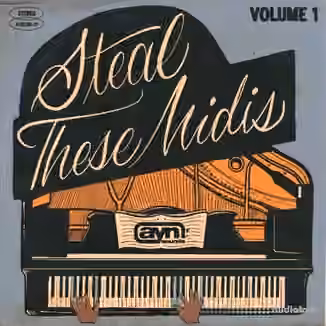 AYN Sounds Steal These Midis Vol.1 [MiDi]