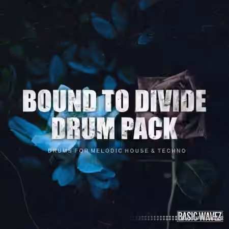 Baisc Wavez Bound to Divide Drum Pack Drums For Melodic House and Techno [WAV]