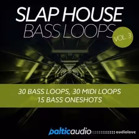 Baltic Audio Slap House Bass Loops Vol.3 [WAV, MiDi]