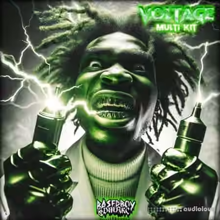 BasedBoyDMarc Voltage (Multi Kit) [WAV, Synth Presets, DAW Templates]