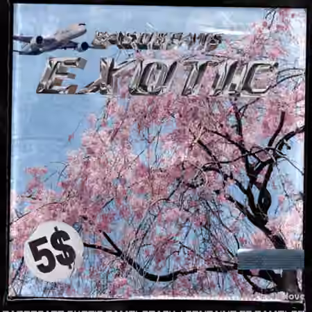 Basobeats Exotic Sample Pack [WAV]