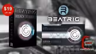 BeatRig SideKick Extended 6 r216 [WiN]