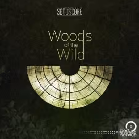 Best Service TO Woods Of The Wild [KONTAKT]