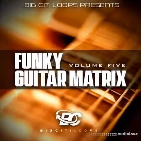 Big Citi Loops Funky Guitar Matrix Vol.5 [WAV]