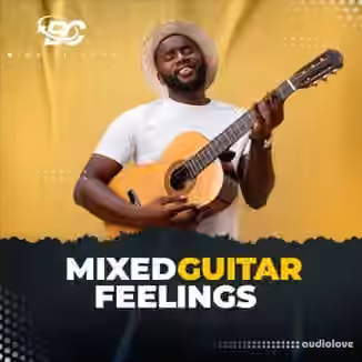 Big Citi Loops Mixed Guitar Feelings [WAV]