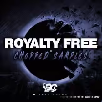 Big Citi Loops Royalty Free Chopped Samples [WAV]