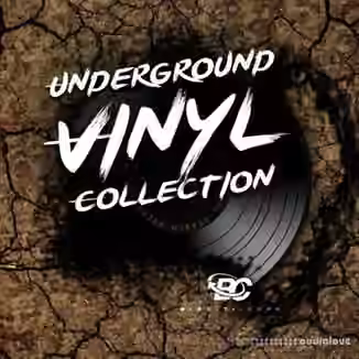Big Citi Loops Underground Vinyl Collection [WAV]