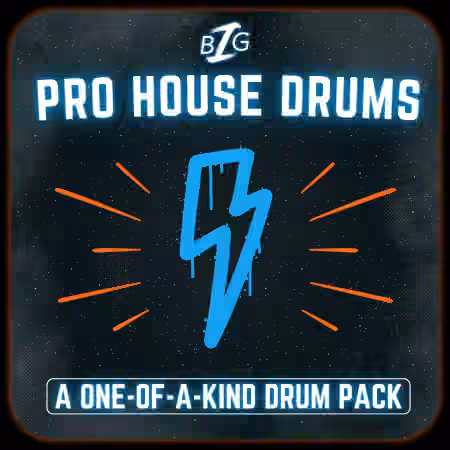 Big Z Sounds Big Z's Pro House Drums [WAV]