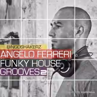 Bingoshakerz Angelo Ferreri Funky House Grooves 2 [WAV]