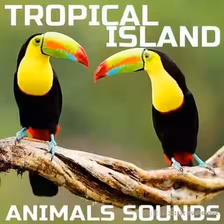 Cloud Nine Records Tropical Island Animals Sounds [FLAC]