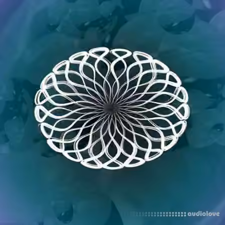 Coldcut MidiVolve v1.1 [Max for Live]