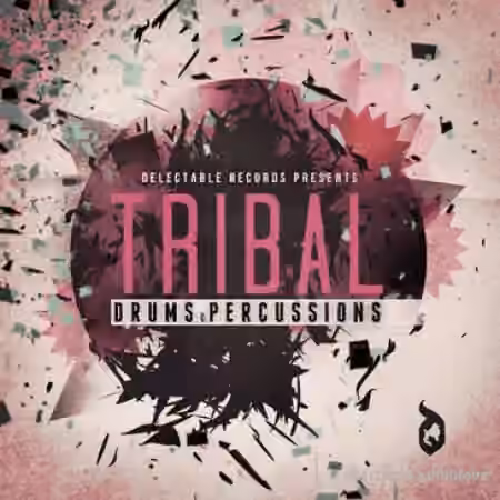 Delectable Records Tribal Drums and Percussion [WAV]
