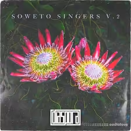 Diaspora Soweto Singers Vol.2 [WAV]