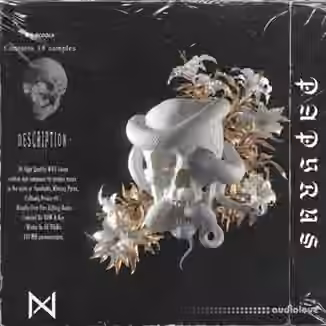 DiyMusicBiz THE 'PAPYRUS' [WAV]