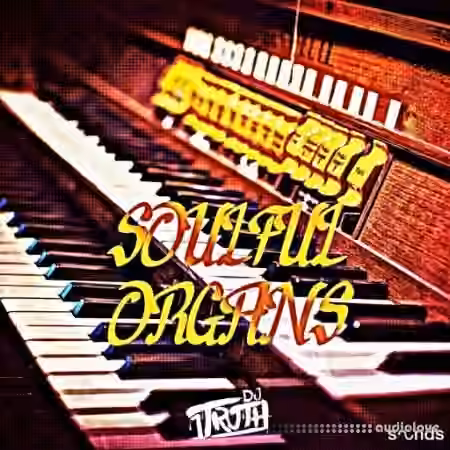 DJ 1Truth Soulful Organs [WAV]