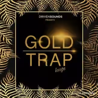 DRIVENSOUNDS Gold Trap Loops [WAV]