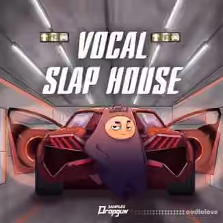 Dropgun Samples Vocal Slap House [WAV]