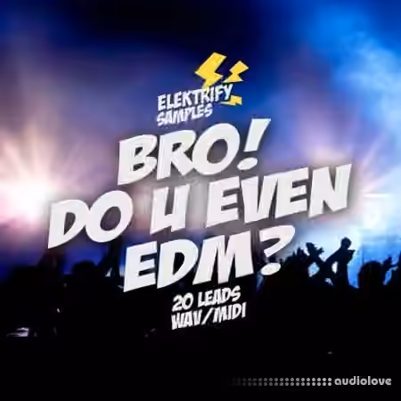 Elektrify Samples Bro Do U Even EDM [WAV, MiDi]