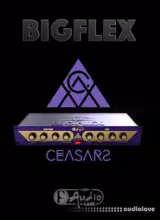 F-AudioLabs BigFlex v1.2.1 [WiN]