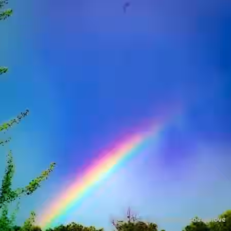 Faith Monaco Maajins and Faith Monaco Multiflavors Drumkit [WAV]
