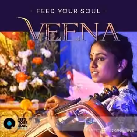 Feed Your Soul Music Feed Your Soul Veena [WAV]