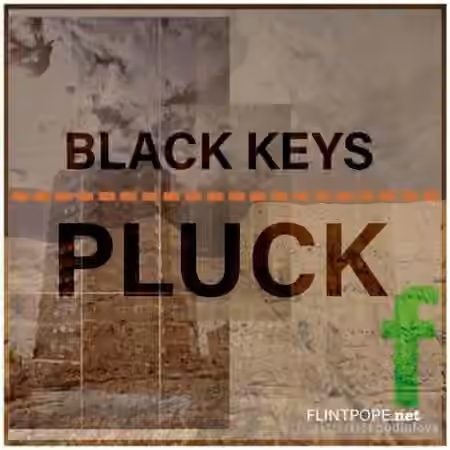 Flintpope BLACK KEYS PLUCK [WAV]