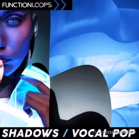 Function Loops Shadows - Vocal Pop [WAV]