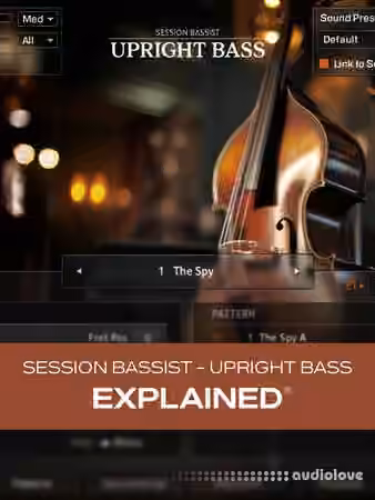 Groove3 Session Bassist Upright Bass Explained [TUTORiAL]