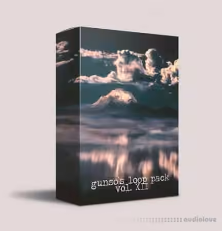 Gunso's Loop Pack Vol. XII [WAV]