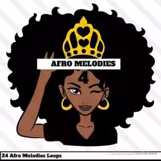 HOOKSHOW Afro Melodies 4 [WAV]
