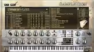 IK Multimedia SampleTron Instruments [WiN]