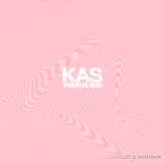 Kas Rizvi Sample Kits Kas Vol.1 [WAV]