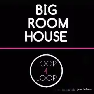 Loop 4 Loop Big Room House [WAV]