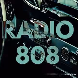 Loops 4 Producers Radio 808 [WAV]