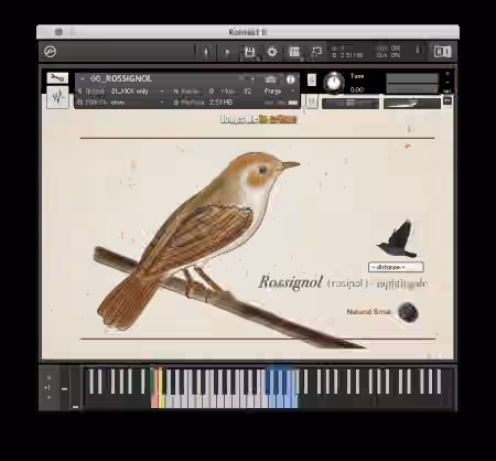 Loops De La Creme Songbird Virtuoso [KONTAKT]