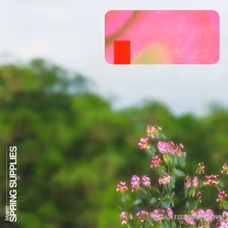 lvusm spring supplies [WAV]