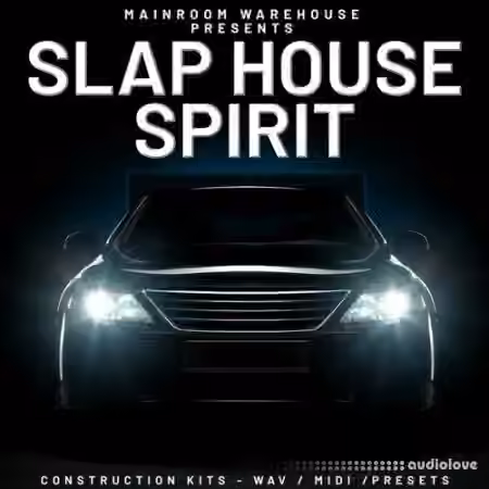 Mainroom Warehouse Slap House Spirit [WAV, MiDi, Synth Presets]