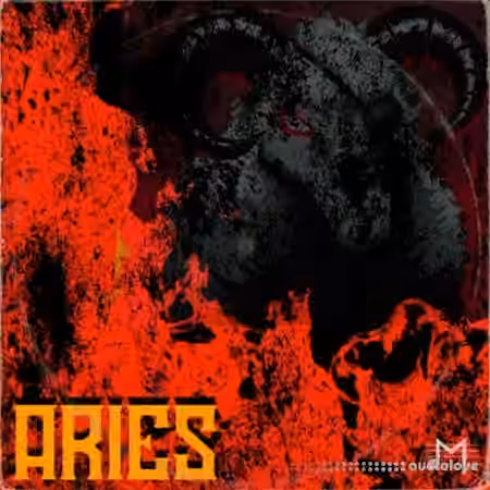 Major Loops Aries [WAV]