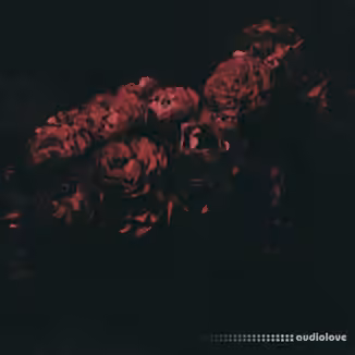 Manu, Armada Sample Pack Vol.2 [WAV]