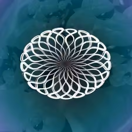 Midivolve by Coldcut v1.5 [Max for Live]