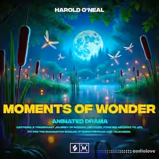 Montage by Splice Moments of Wonder: Animated Drama [WAV]