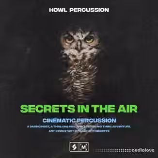 Montage By Splice Secrets In The Air Cinematic Percussion [WAV]