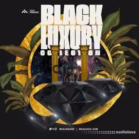 MSXII Black Luxury Collection [WAV, (Compositions)]