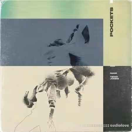 Nami Music Library Nami and Teddi Jones POCKETS [WAV]