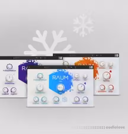 Native Instruments Raum v1.0.0 [MacOSX]