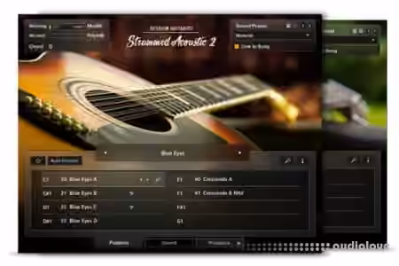 Native Instruments Session Guitarist Strummed Acoustic 2 v1.1.0 [KONTAKT]