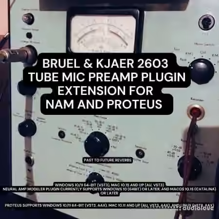 PastToFutureReverbs Bruel and Kjaer 2603 Tube Mic Preamp Plugin Extension